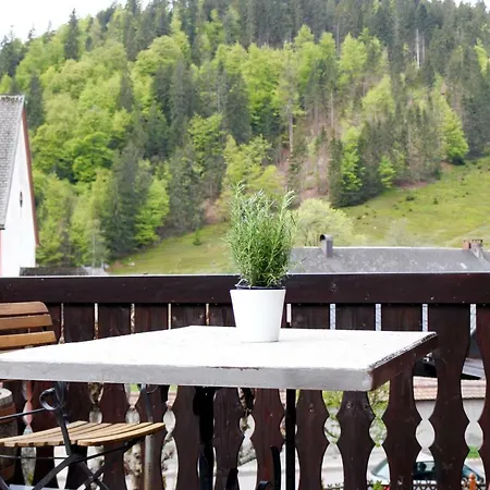 Gaestehaus Erika Menzenschwand-Hinterdorf