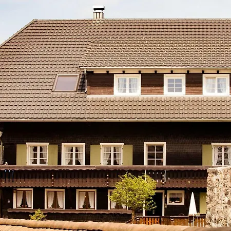 Gaestehaus Erika Lägenhet Menzenschwand-Hinterdorf
